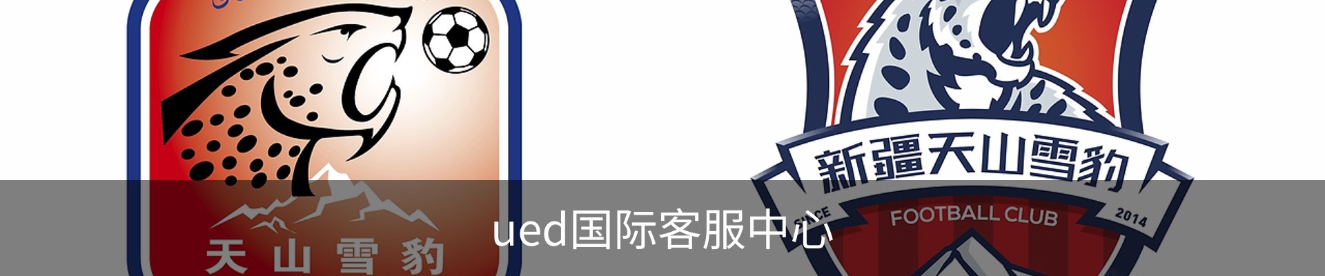 ued国际客服中心